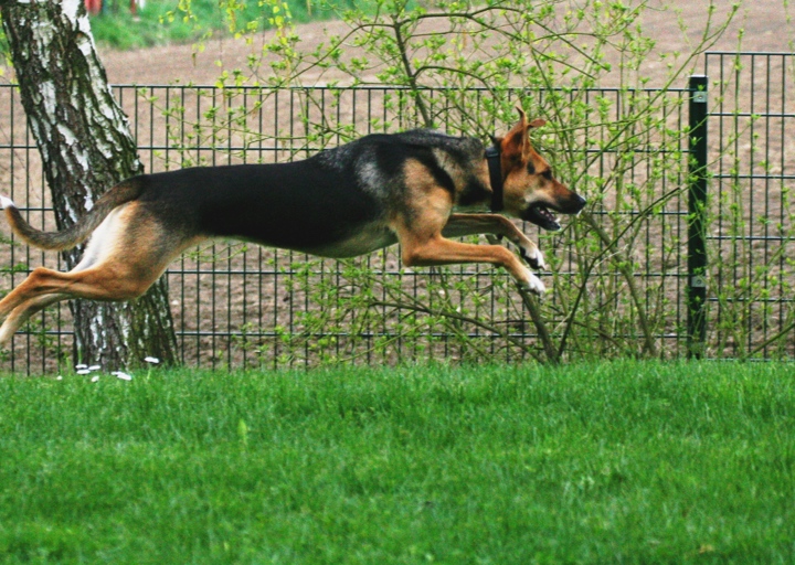 happy_140430567511.4.2014 037.jpg