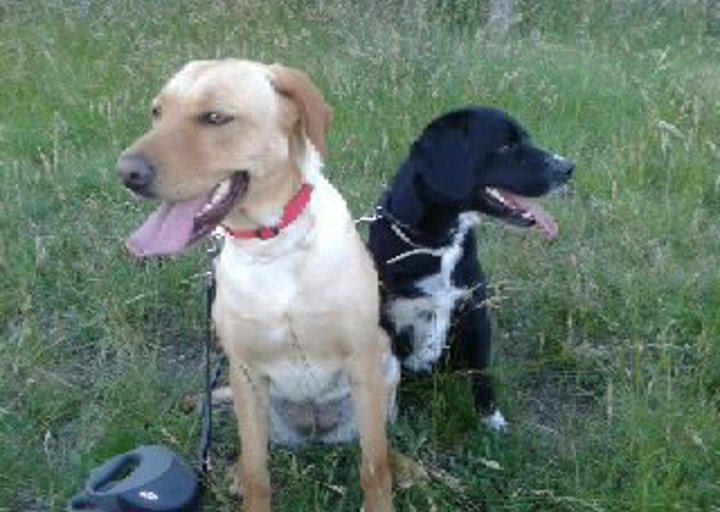 happy_1403905570privat1 130.jpg