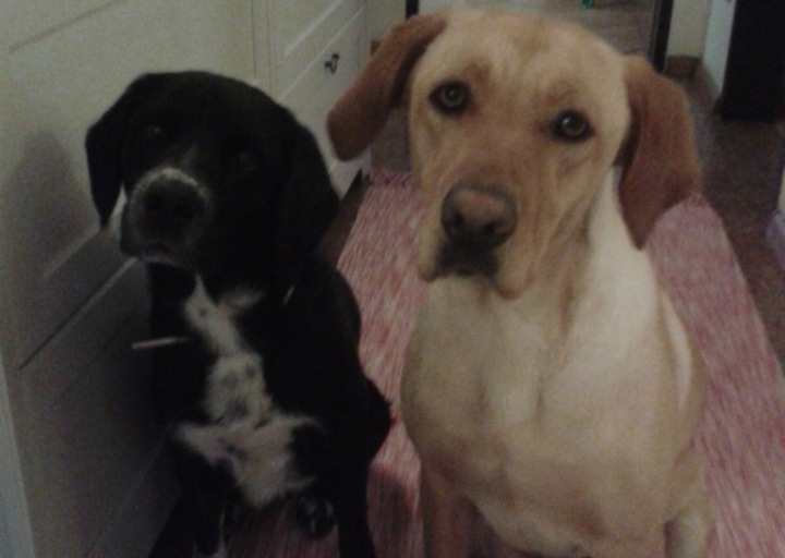 happy_1403905570privat1 072.jpeg