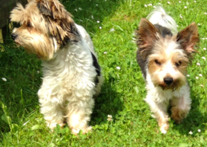 happy_1403468534Foto 1.jpg