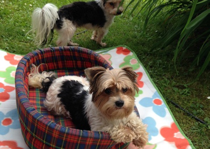 happy_1403468534Foto 2.jpeg