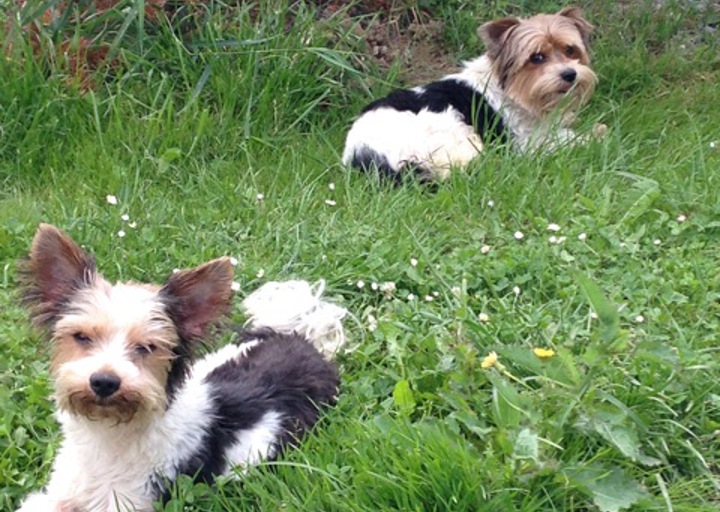 happy_1403468534Foto 4.jpeg