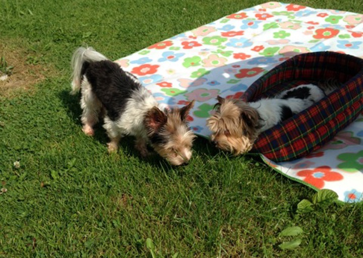 happy_1403468534Foto 5.jpeg