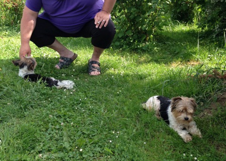 happy_1403468534Foto 3.jpeg