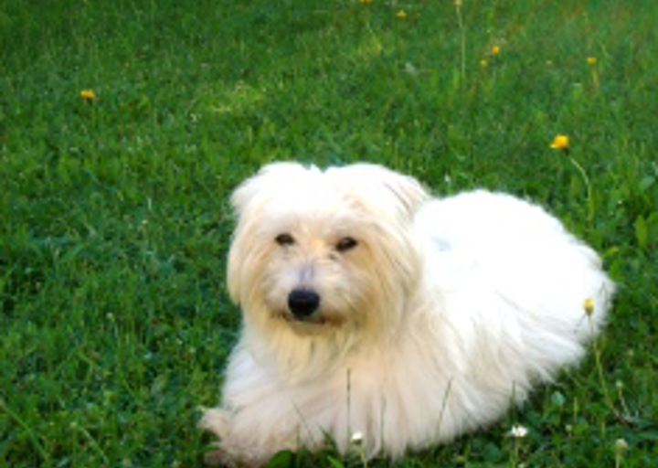 happy_1403290527LISA IM GARTEN 019.JPG