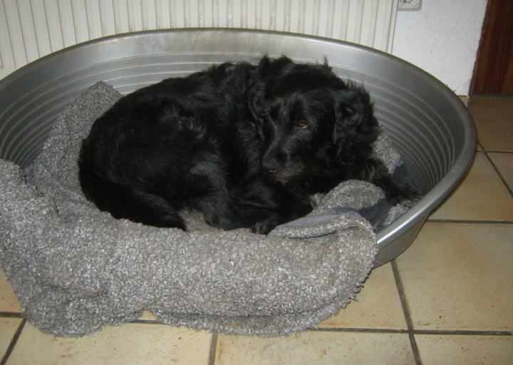 happy_1401388303Ronja 2.JPG