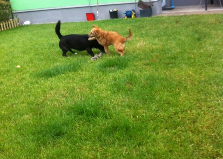 happy_1400701105Foto 2.jpeg