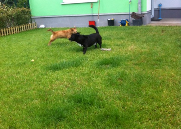 happy_1400701105Foto 3.jpeg