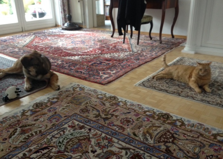 happy_1398714642Foto 1d.JPG