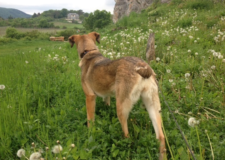 happy_1398714642Foto 3a.JPG