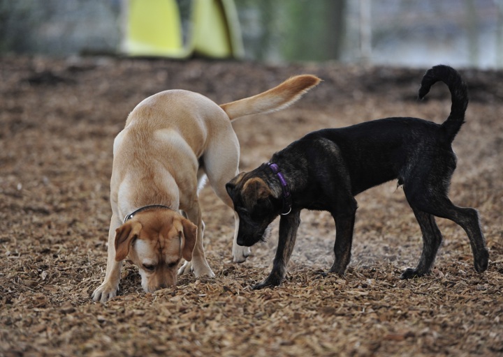 happy_1397394534Edison Anton.jpg