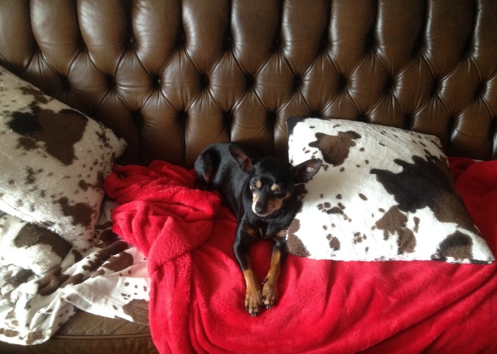 happy_1395951862i-phone bilder 191.JPG