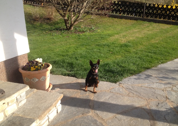 happy_1395951862i-phone bilder 201.JPG