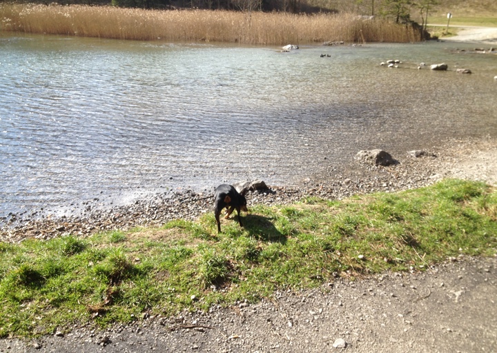 happy_1395951862i-phone bilder 172.JPG