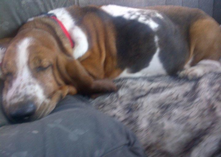 happy_1395948687Greta Autofahrt.jpg