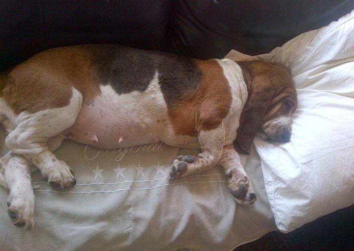 happy_1395948687Sofa 08Mar14.jpg