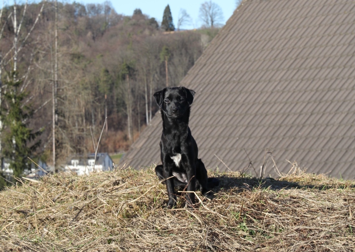 happy_1394395338pipi fotographin canon EOS D60 083.JPG