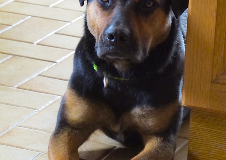 happy_1394395723MILLI 2014.03.03_12 Kopie.jpg