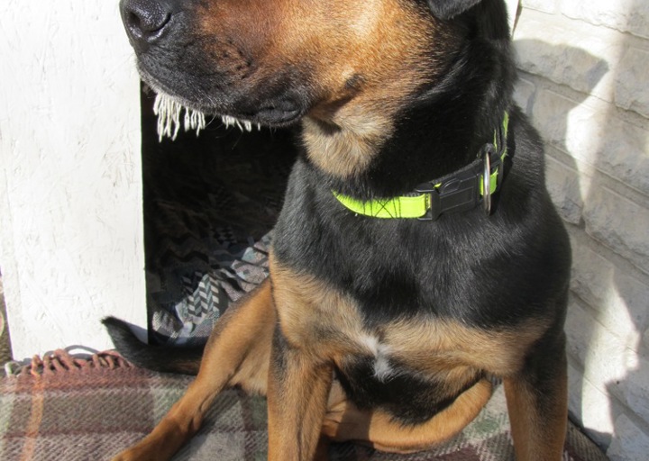 happy_1394395723MILLI 2014.03.01_17 Kopie.jpg