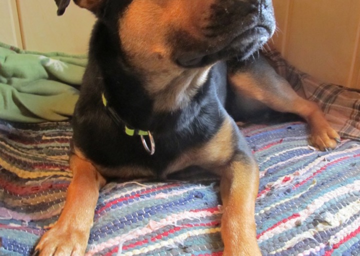 happy_1394395723MILLI 2014.03.03_26 Kopie.jpg