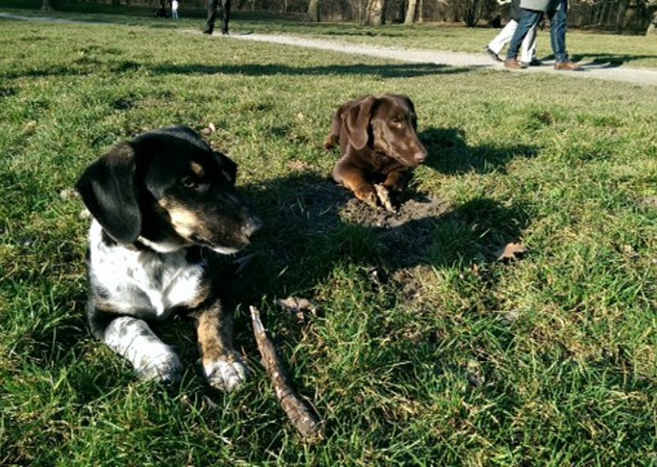 happy_1393444279Foto 4.JPG