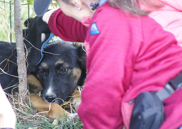 Kopie Von 25 10120203