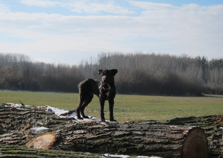 happy_1391430425Kopie von IMG_0732.JPG