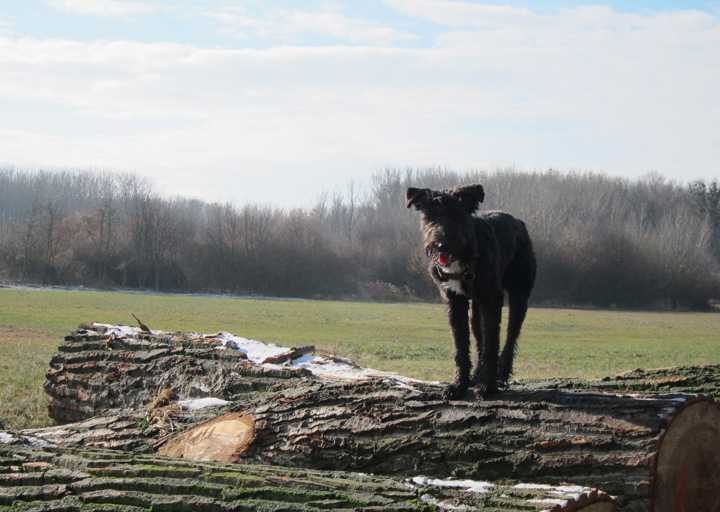 happy_1391430425Kopie von IMG_0736.JPG