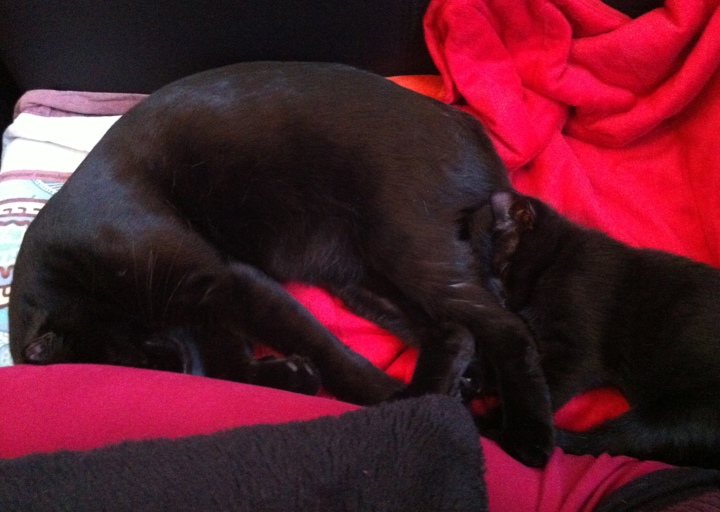 happy_13910181872012-10-01 10.51.15.jpg