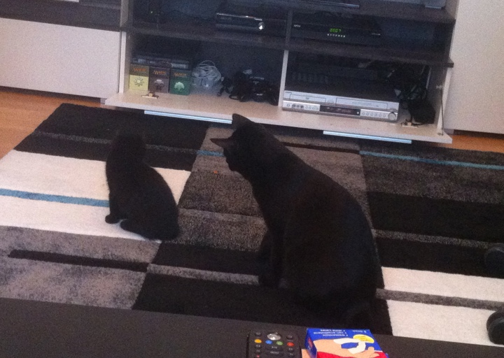 happy_13910181872012-09-30 13.40.02.jpg