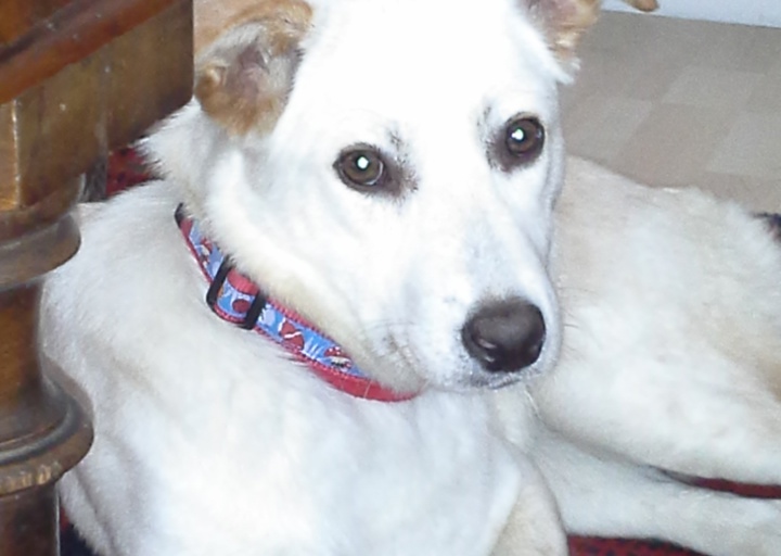 happy_13886878022013-11-17 10.19.00.jpg