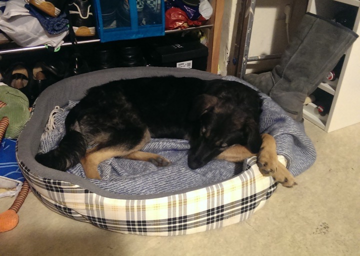 happy_13883524532013-12-01 22.08.01.jpeg