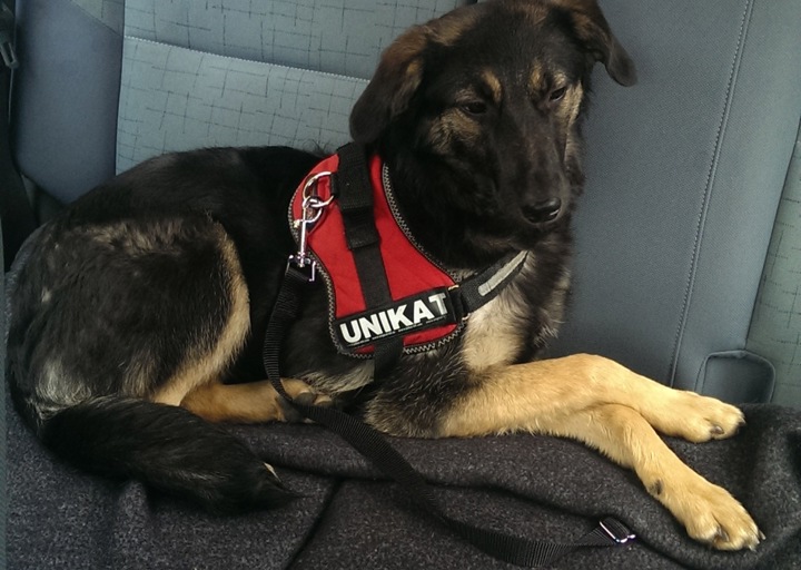 happy_13883524532013-12-11 13.02.29.jpeg