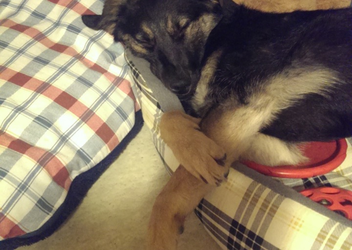 happy_13883524532013-12-10 23.25.57.jpeg