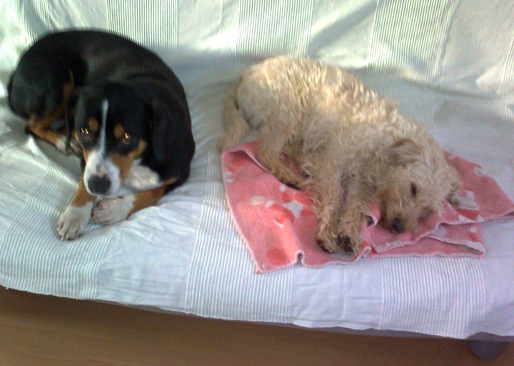 happy_1387580897Paula und Emil.jpg