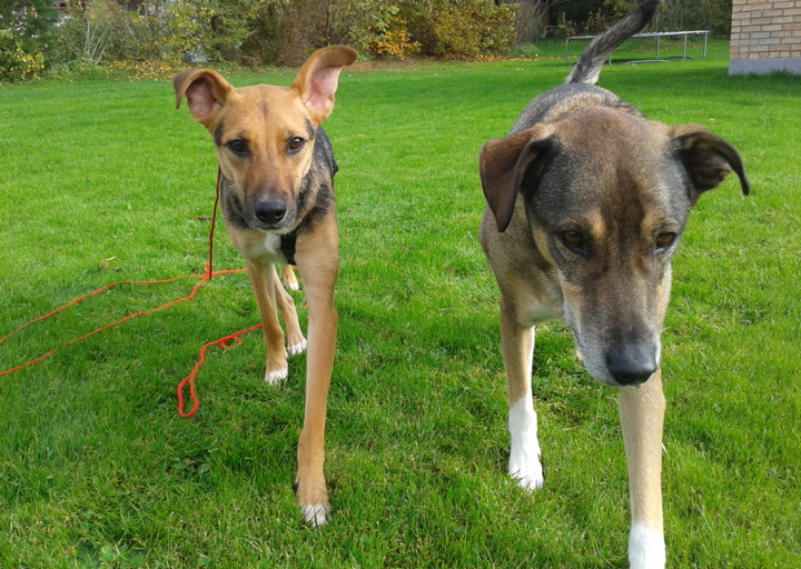 happy_13875786282013-10-27 13.56.57.jpg