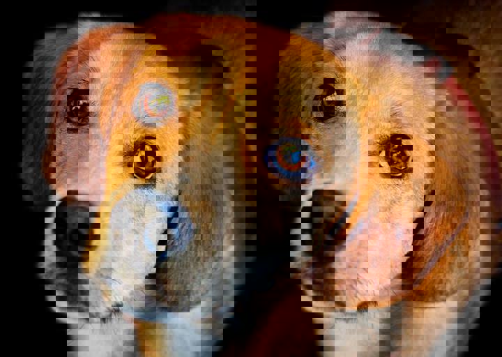 happy_1385672219im Gasthaus 1.jpg