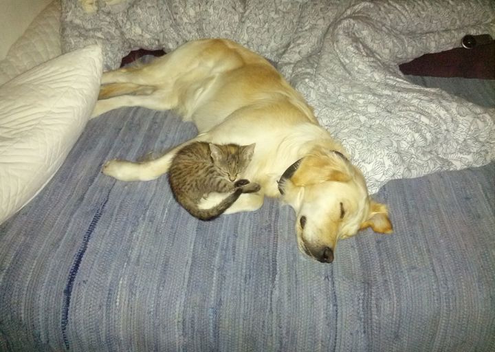 happy_13856728142013-09-03 22_42_01.jpg