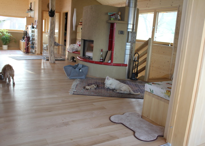 happy_1383685588Freki 017.jpg