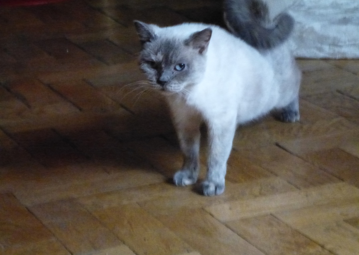 happy_1382559351002 (2).JPG