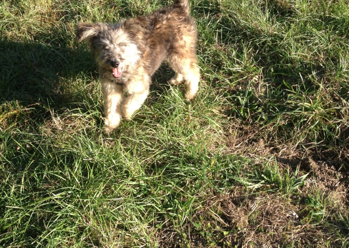 happy_1381952474Anhang 2.jpg