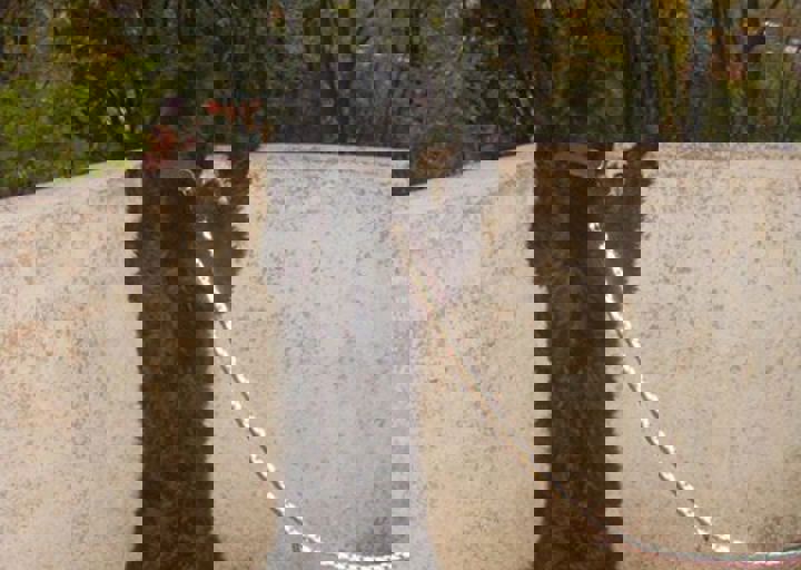 happy_1381952040Balin auf aussichtswarte.jpg