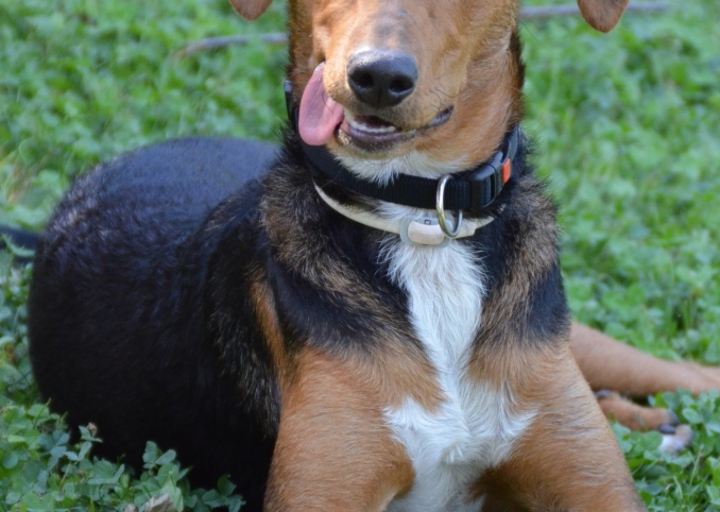 happy_1381184449DSC_0018 (2).jpg