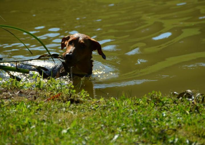 happy_1381184449DSC_0035 (2).jpg