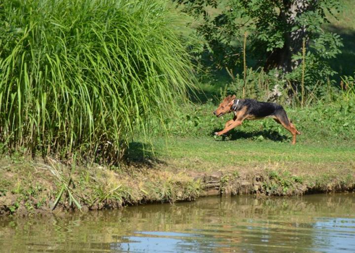 happy_1381184449DSC_0026 (2).jpg