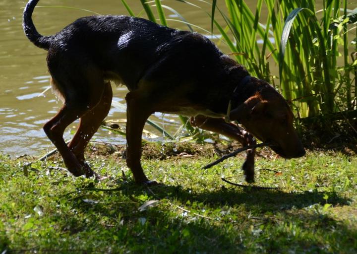 happy_1381184449DSC_0037 (4).jpg