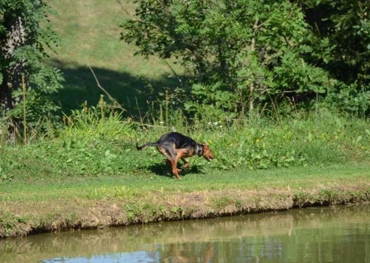 happy_1381184449DSC_0025 (2).jpg