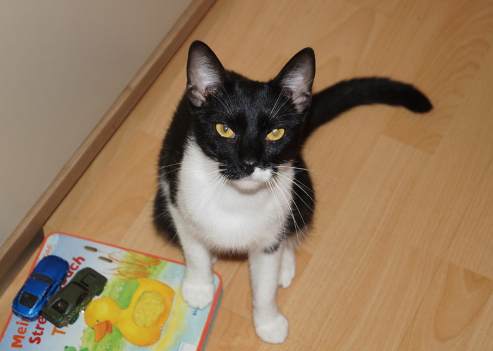 happy_1381185220bilder 064.JPG