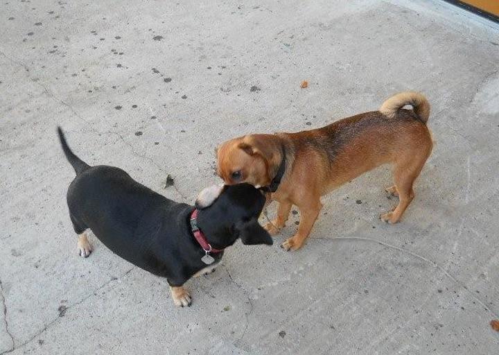 happy_1380384153mama3 164.jpg