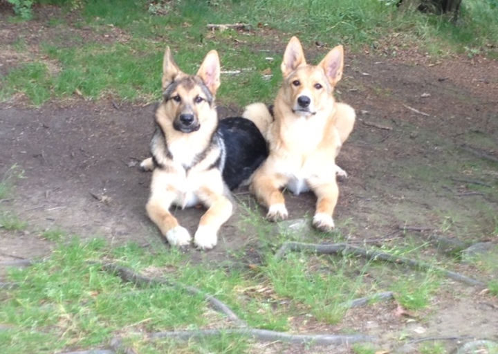 happy_1379172438Foto 4.JPG